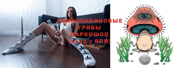 винт Арсеньев