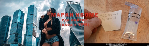 твердый Аркадак
