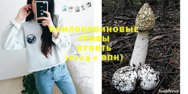 твердый Аркадак