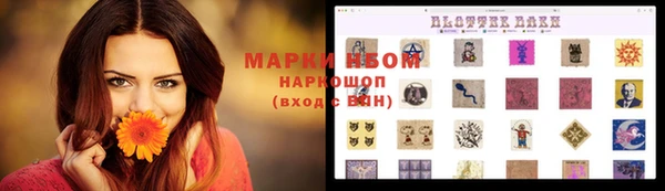 стафф Армянск