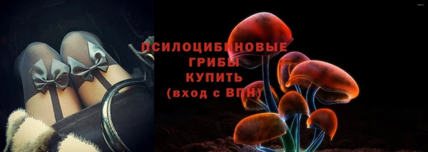 твердый Аркадак