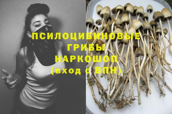 стафф Армянск