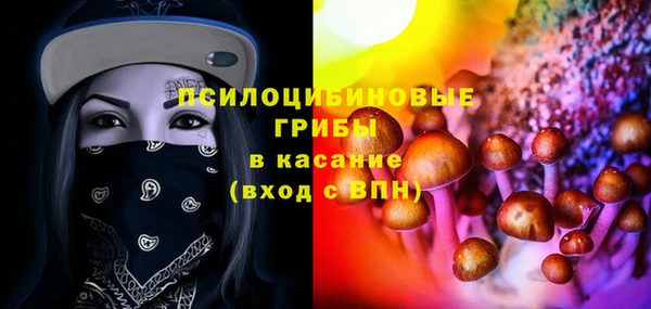 винт Арсеньев