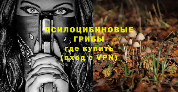 винт Арсеньев