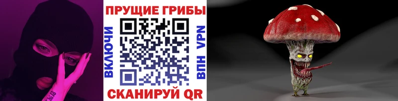 Галлюциногенные грибы Psilocybine cubensis купить цена Любань